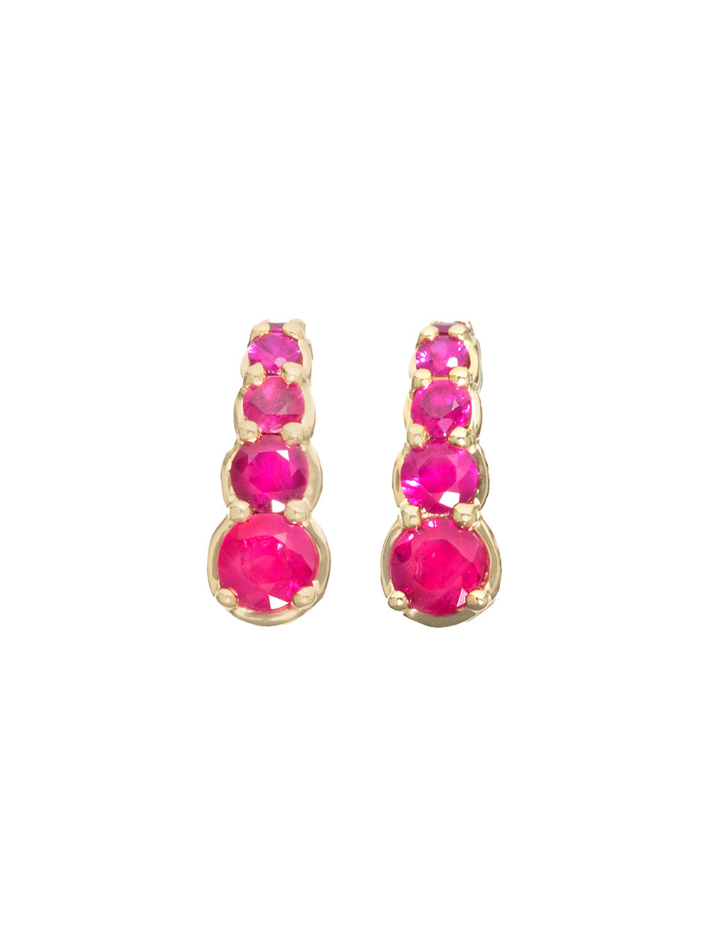 Hook Ruby Earrings