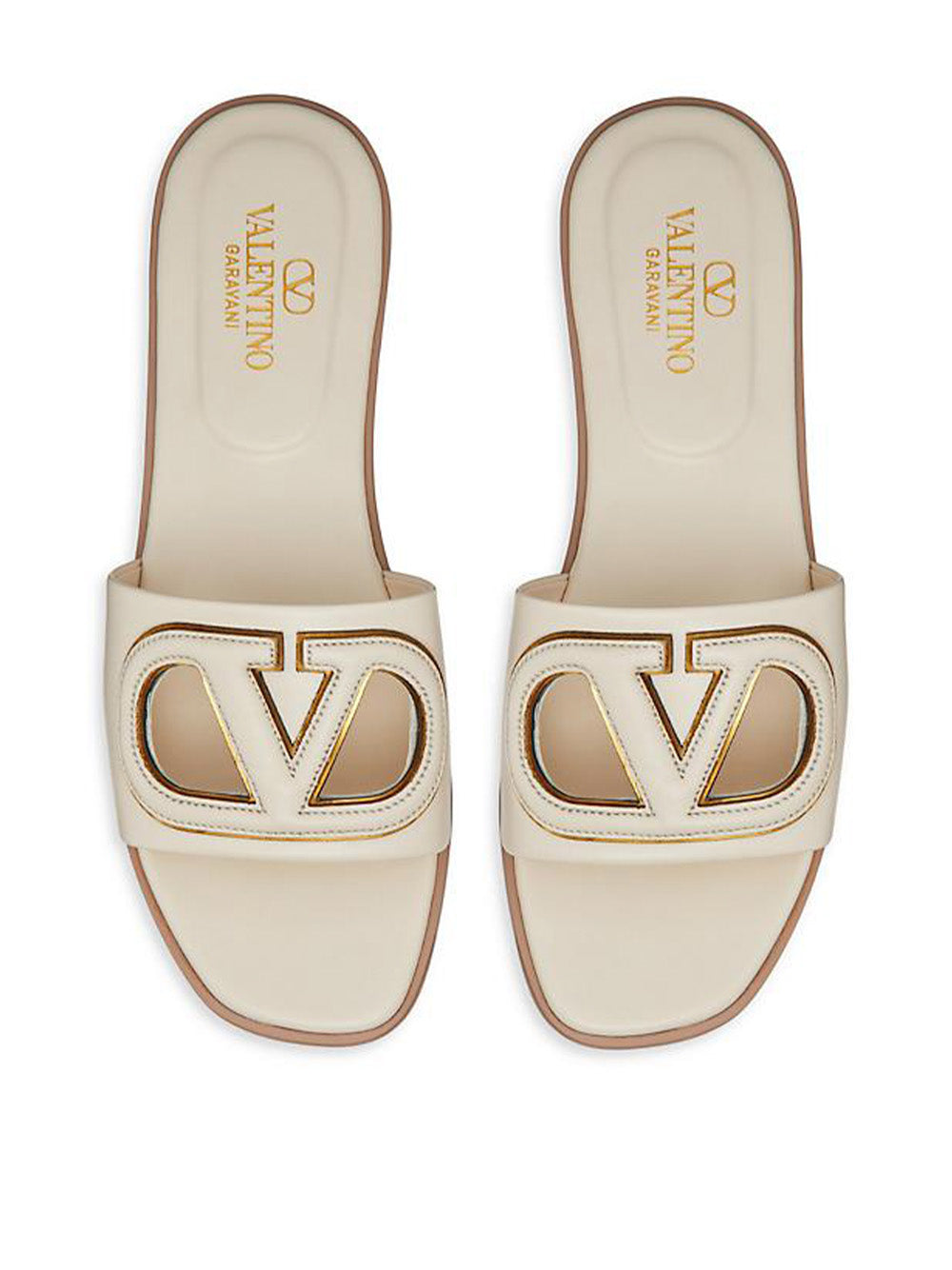 VLogo Cut-Out Slides