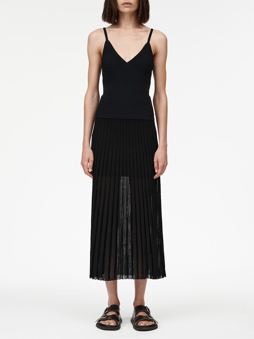 Sheer Pleated Skirt